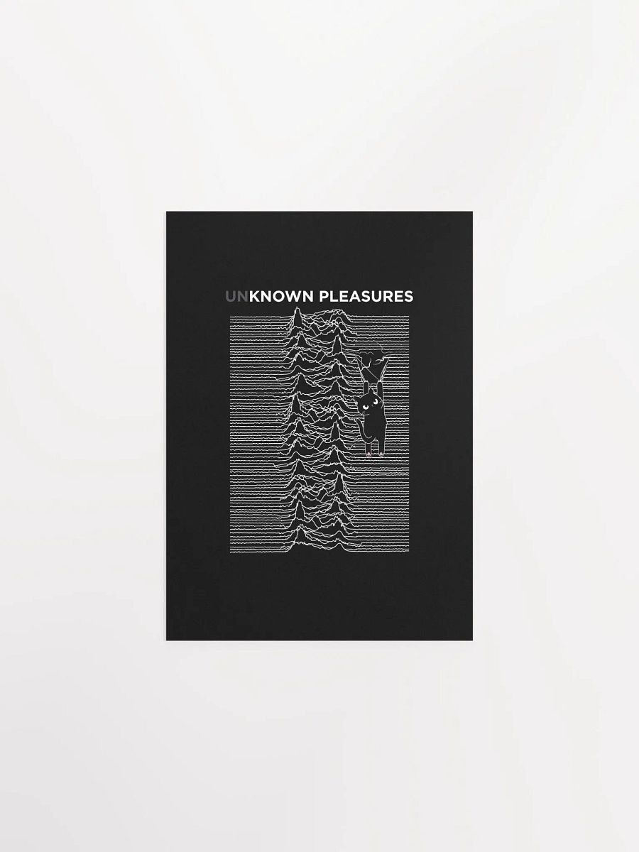 KITTEN'S UNKNOWN PLEASURES product image (1)
