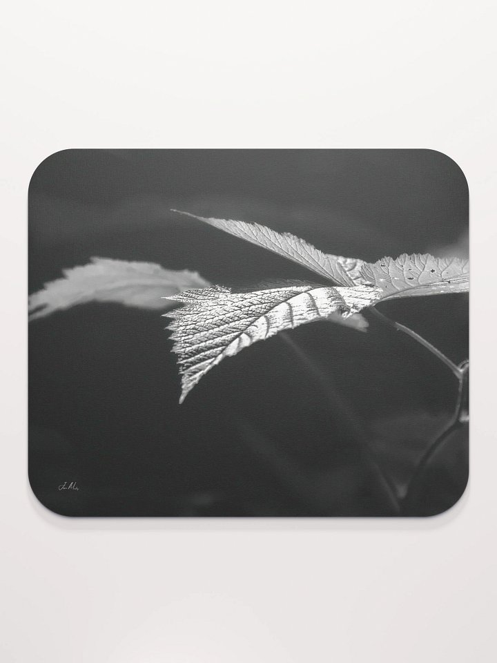 Lower Dungeness Trail Timber sun lighting Mouse Pad product image (2)
