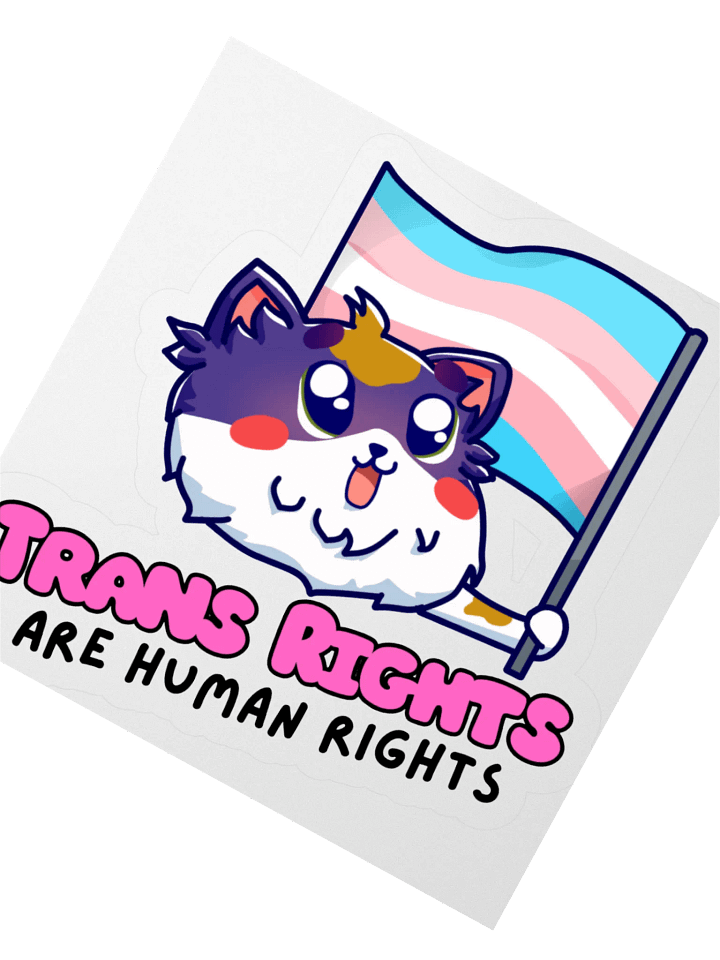 Trans Rights Sticker product image (2)