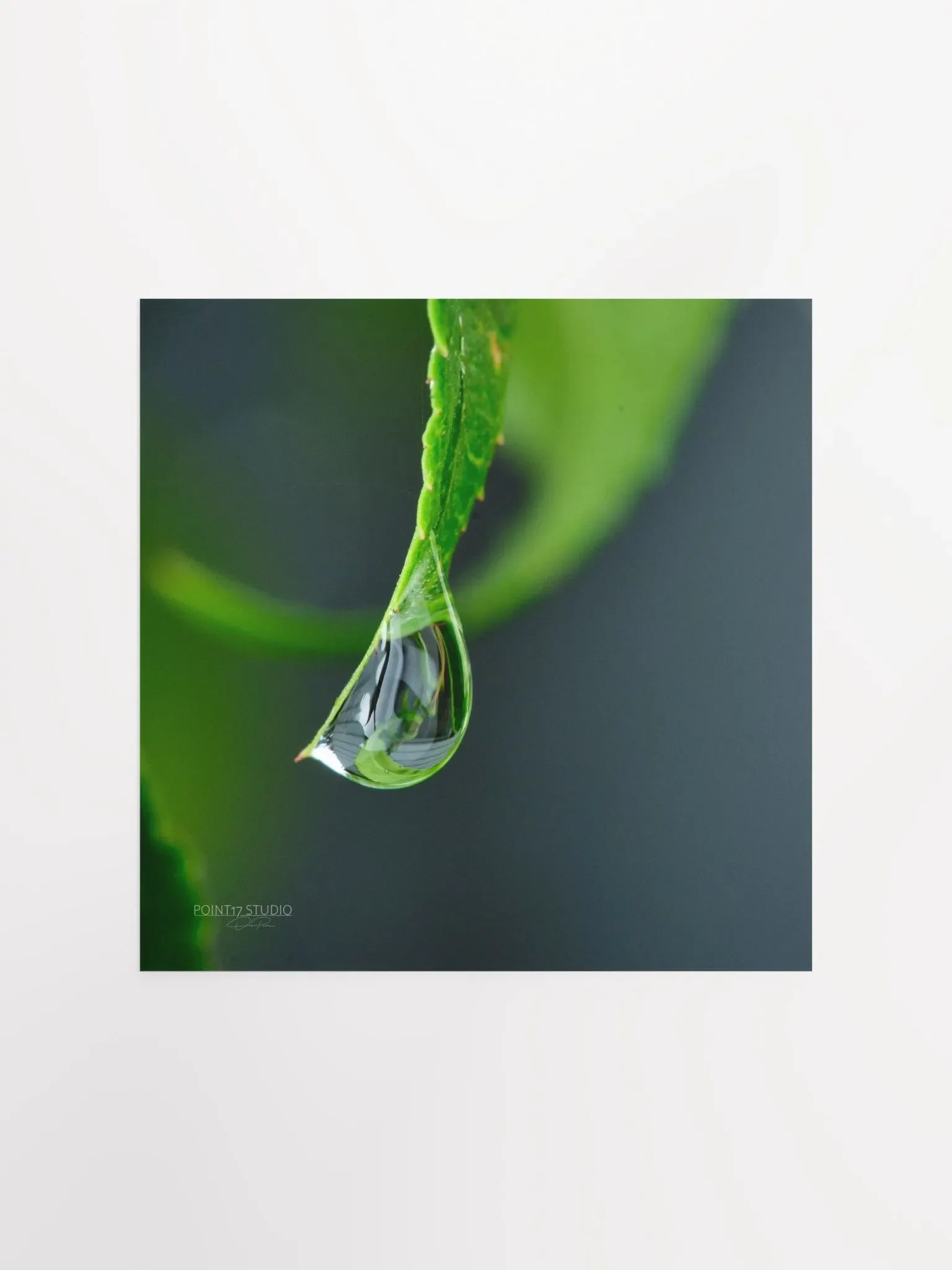 Dew Gems #4 - Print product image (1)