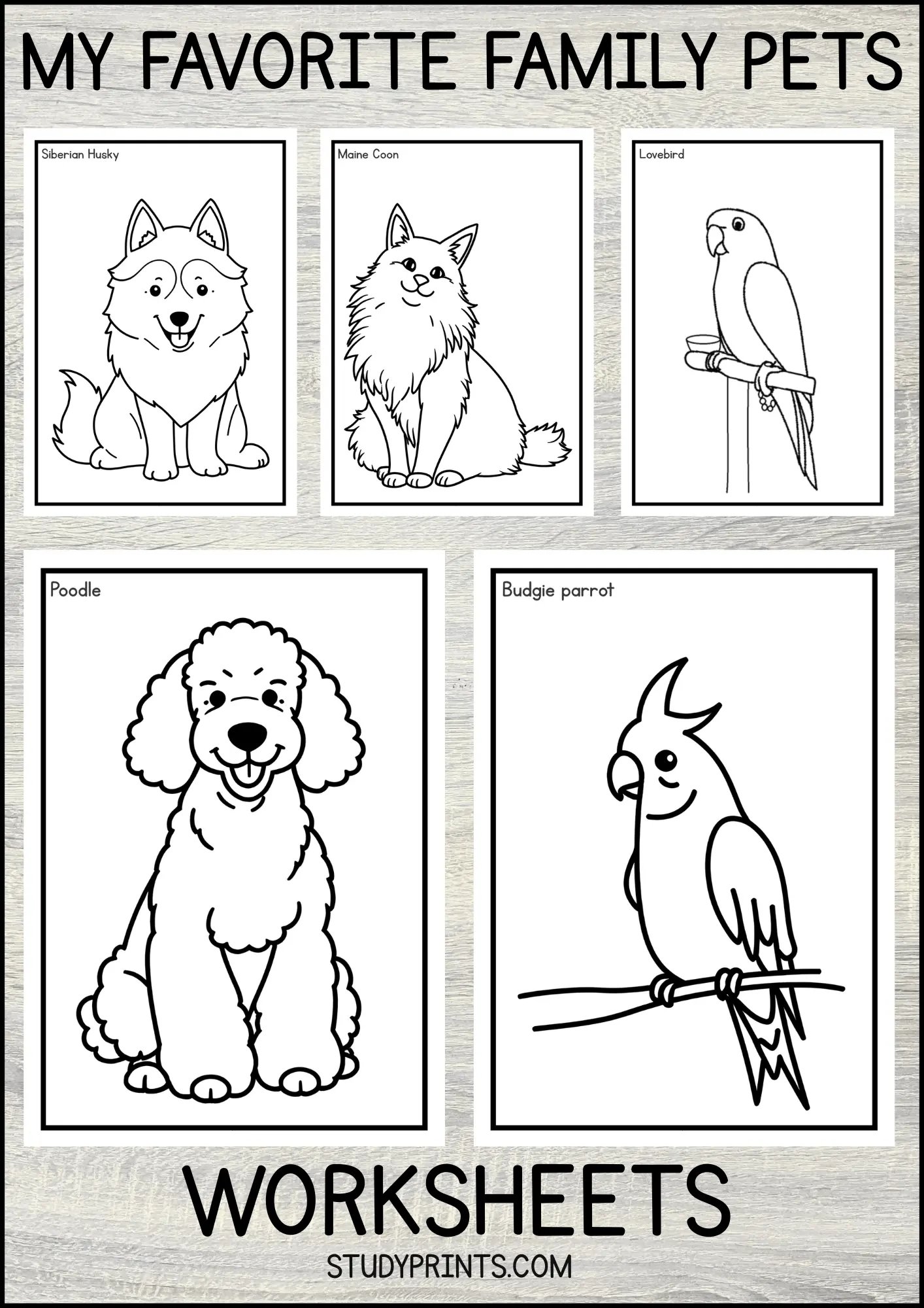 MY FAVORITE PET Coloring Worksheet printable product image (1)