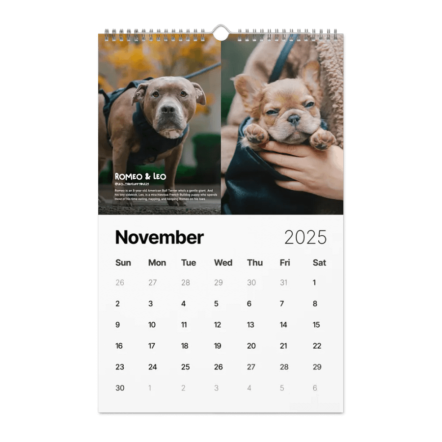 Official 2025 Calendar product image (11)