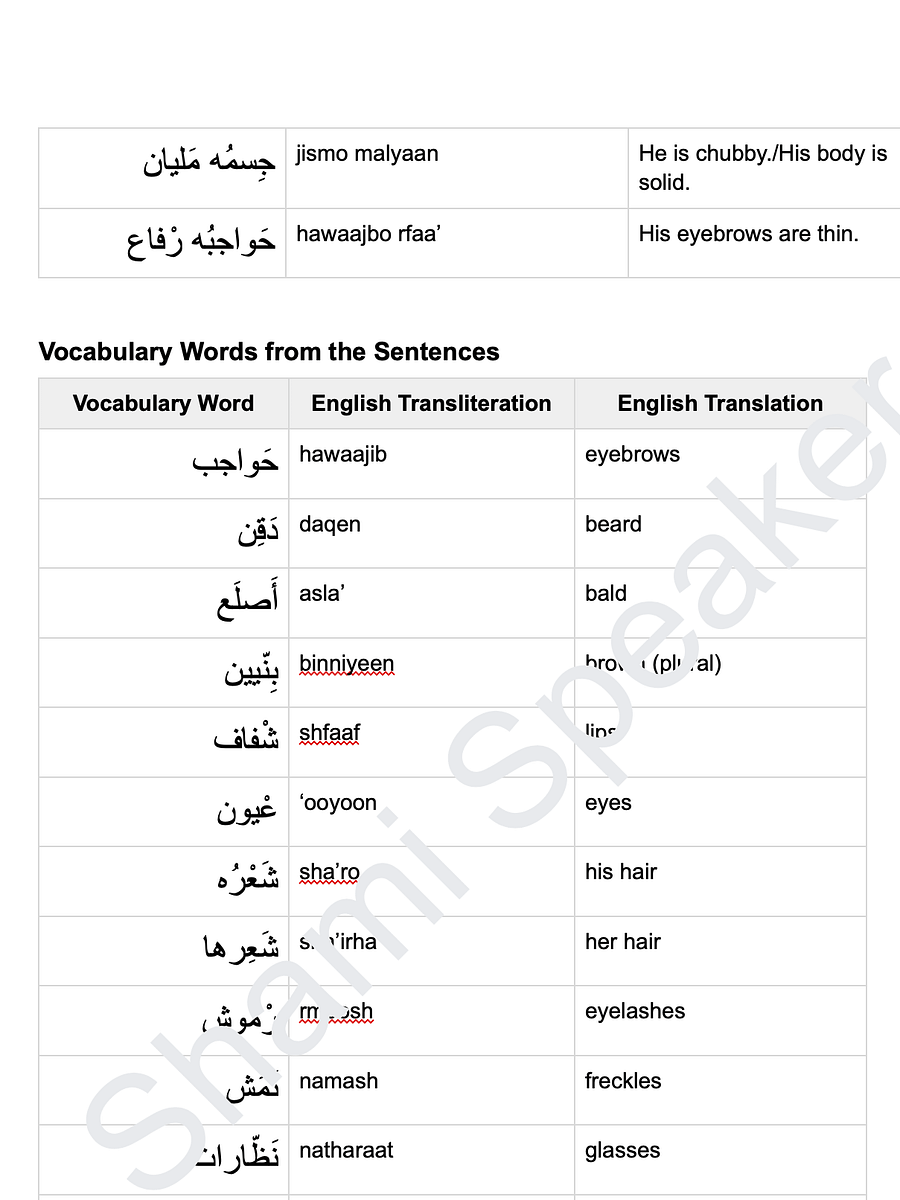 Describing People in Levantine Arabic product image (3)