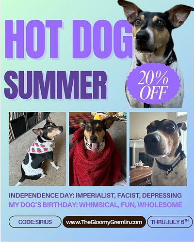 Out ❌ celebrating America's birthday
In ✅ celebrating my dog's birthday
It's the annual Sirius's Birthday Sale! Despite being...