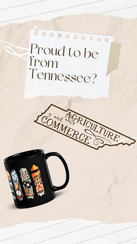 🎸 From the soulful roots of country music to your cozy space - celebrate Tennessee with our exclusive state-themed collection...