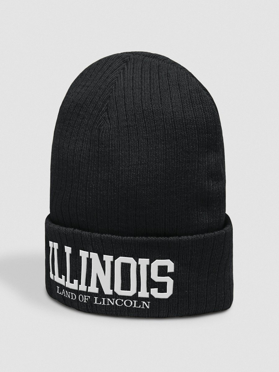 Illinois Land of Lincoln Eco-Threaded Ribbed Beanie product image (4)