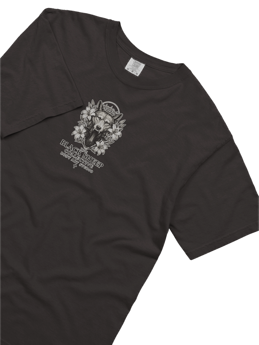 Radiant Light Scripture Tee product image (48)