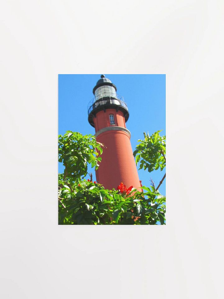 Light House w/ Cape Honeysuckle product image (8)