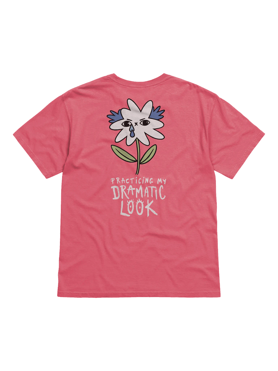 WLS T-shirt with print 'Practicing my dramatic look' product image (3)