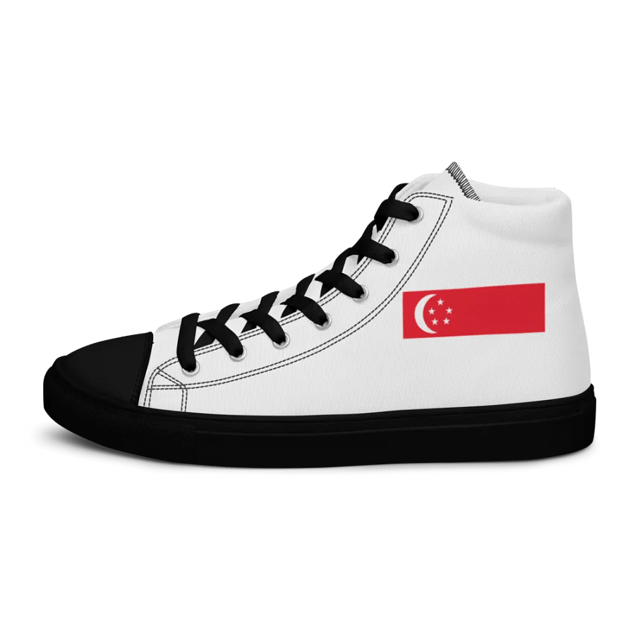 singapore product image (6)