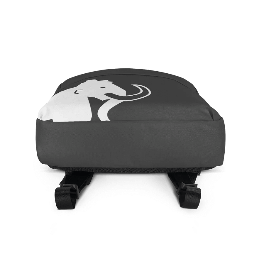 Mammoth Backpack Small product image (3)