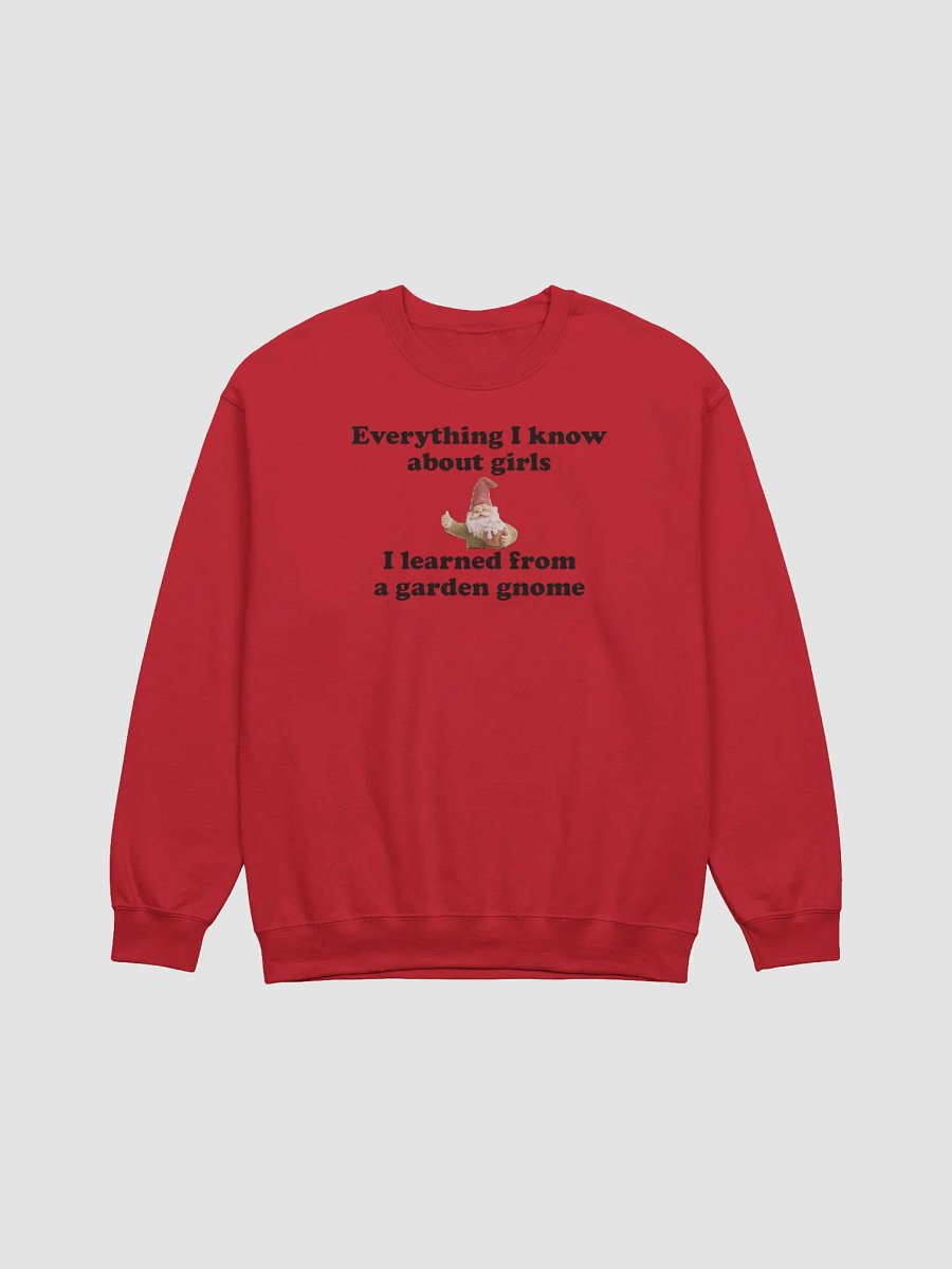 Everything I know about girls classic sweatshirt product image (2)