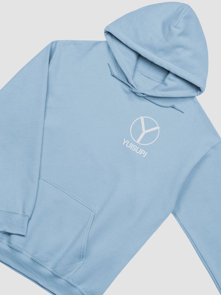 Type 2K25 - NOVA Lite | Hoodie 1 product image (2)