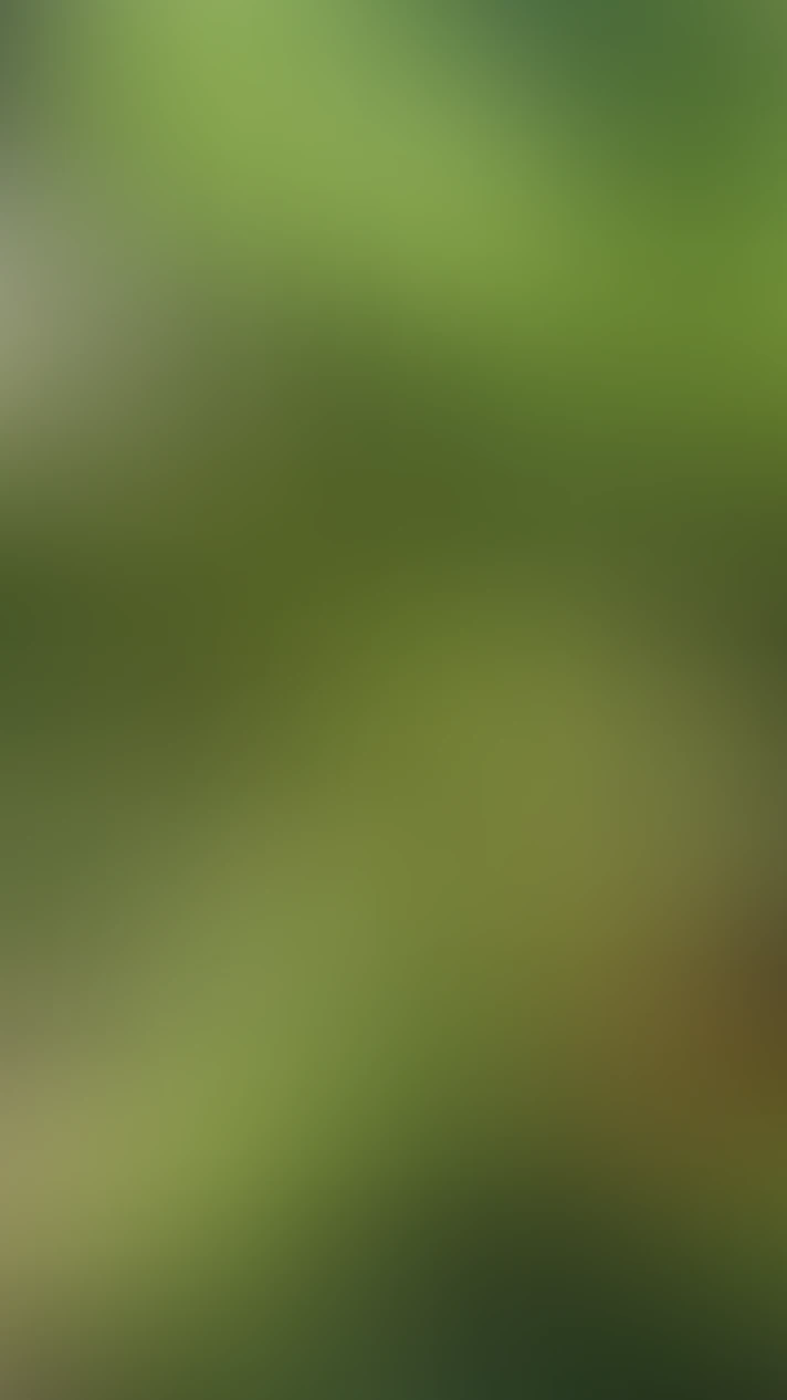 Video thumbnail background