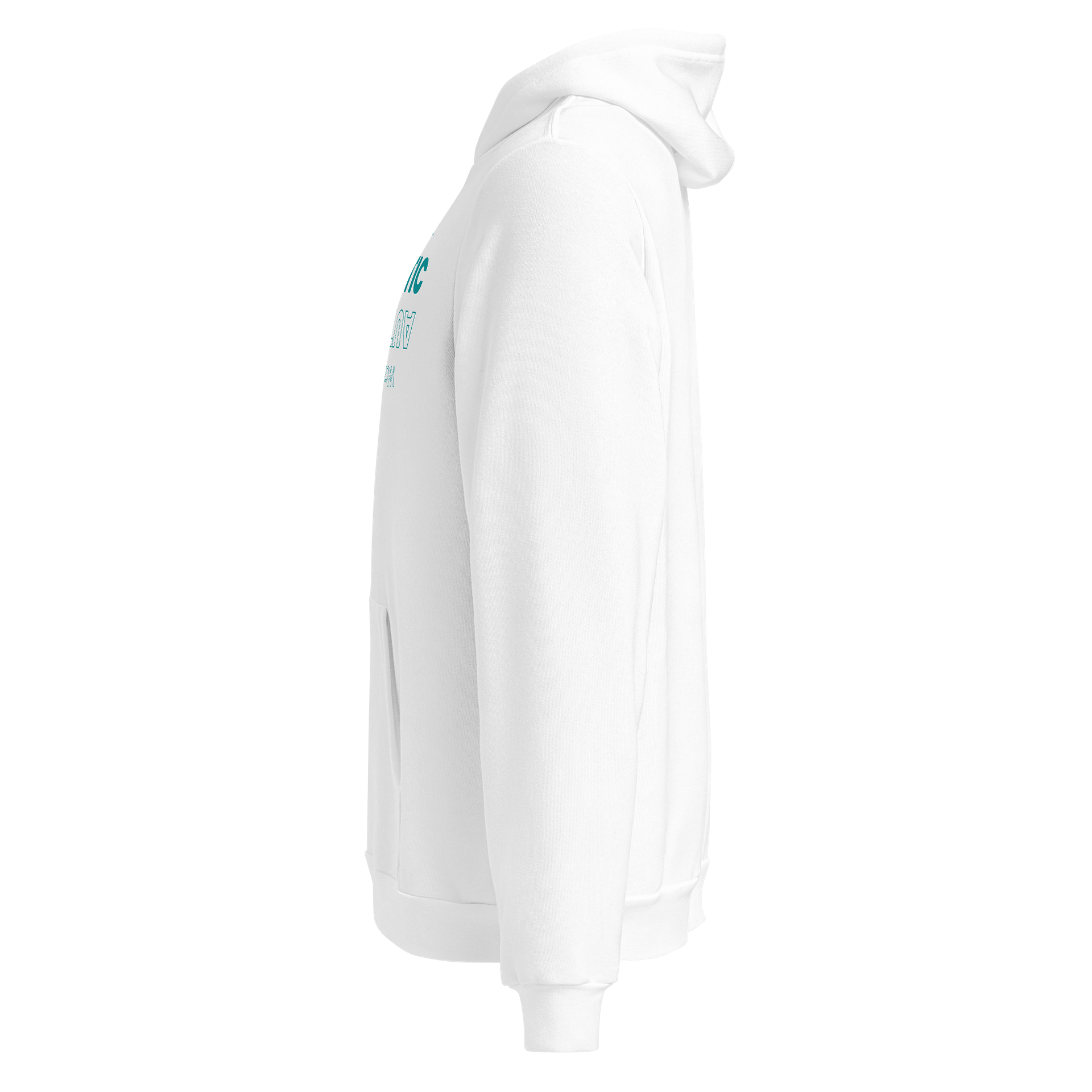 Warrior Spirit Teal Hoodie product image (2)