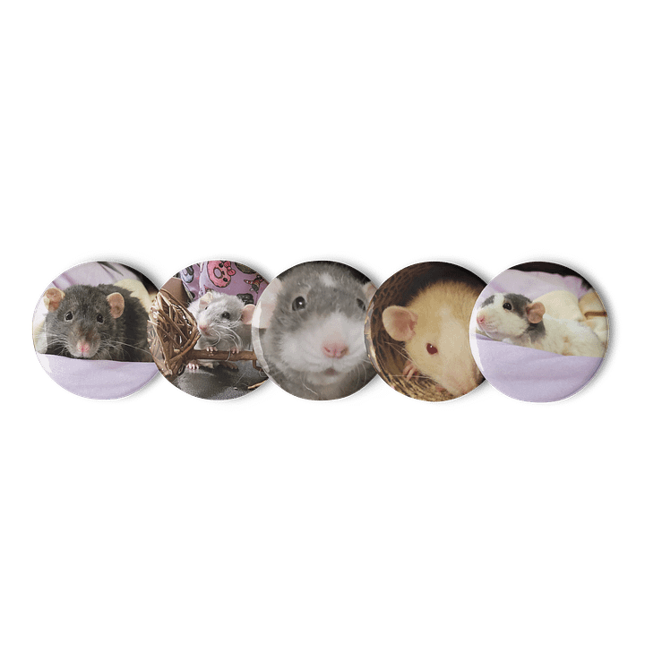 Rat Pictures || Set of Pin Buttons product image (1)