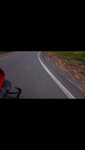 #freebird #freeasabird #ducati #ducativ4r #panigale #panigalev4r #lynardskynyrd