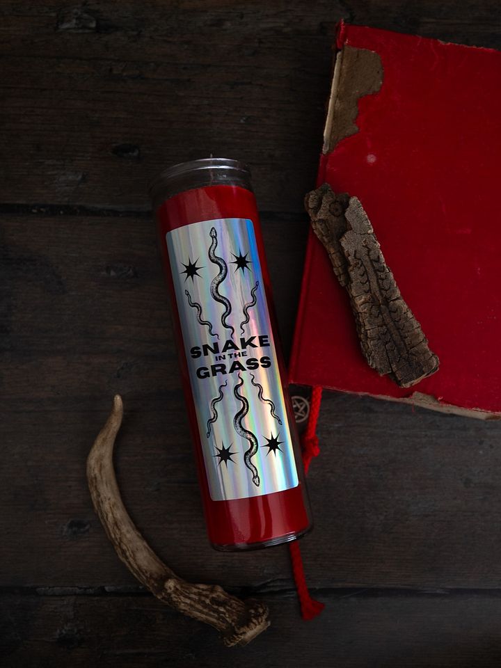"Snake in the Grass" Candle Sticker product image (1)