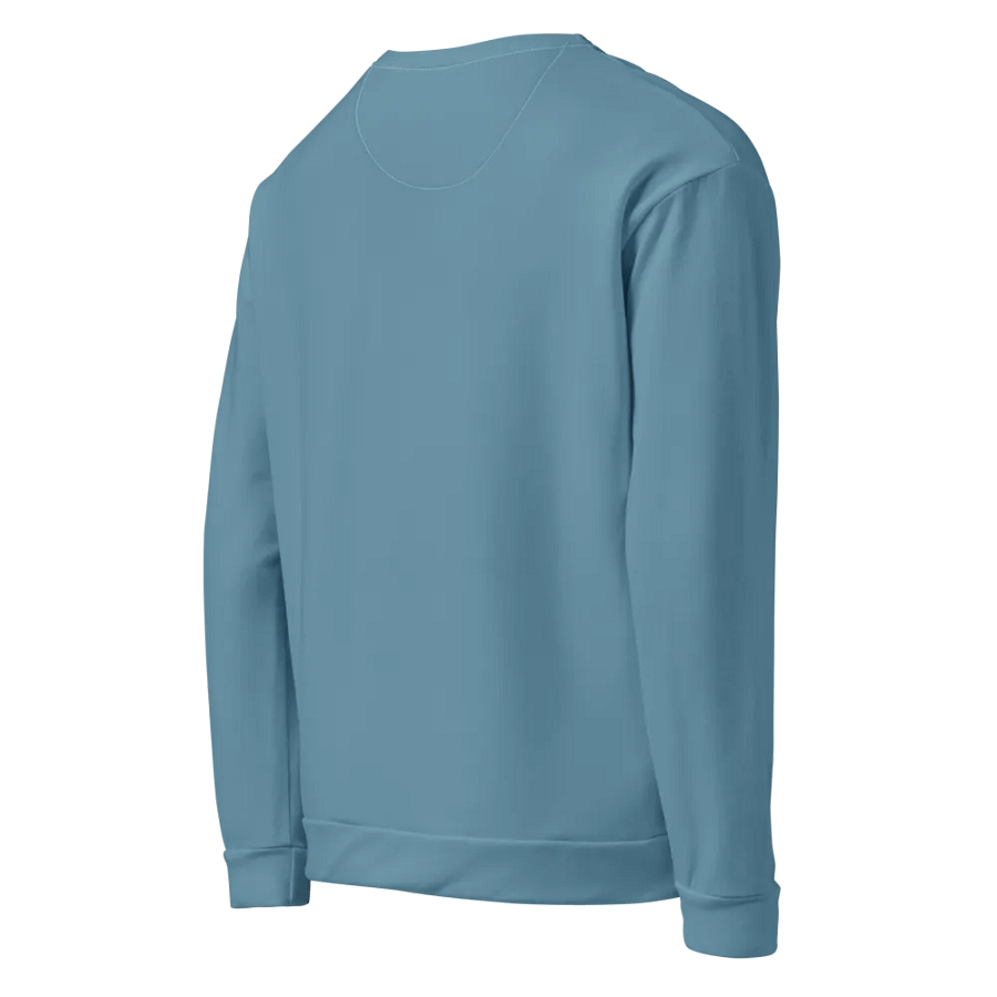 Plain Medium Light Blue Soft Summer Unisex Recycled Polyester Heavyweight Premium Sweatshirt by Treasure Pie product image (6)