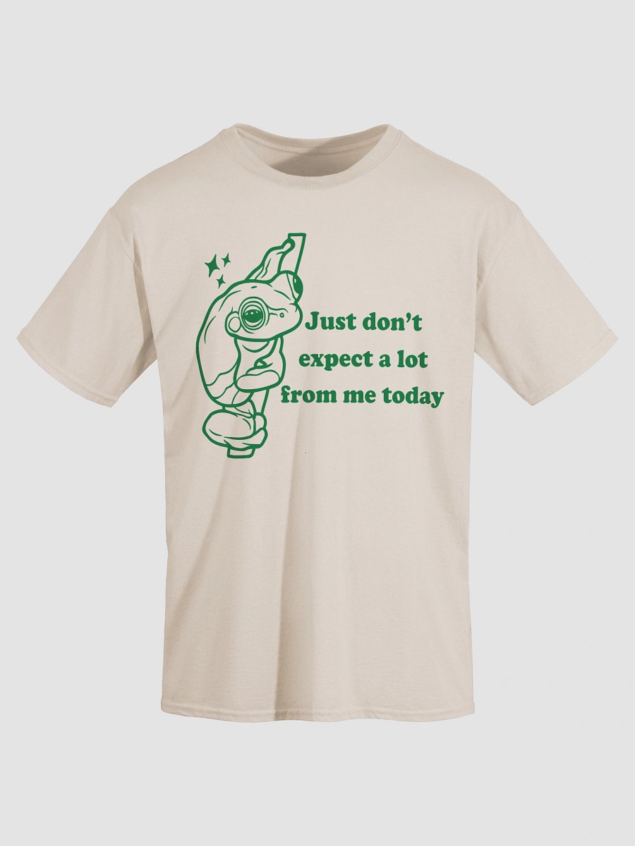 Just dont expect a lot from me today product image (23)