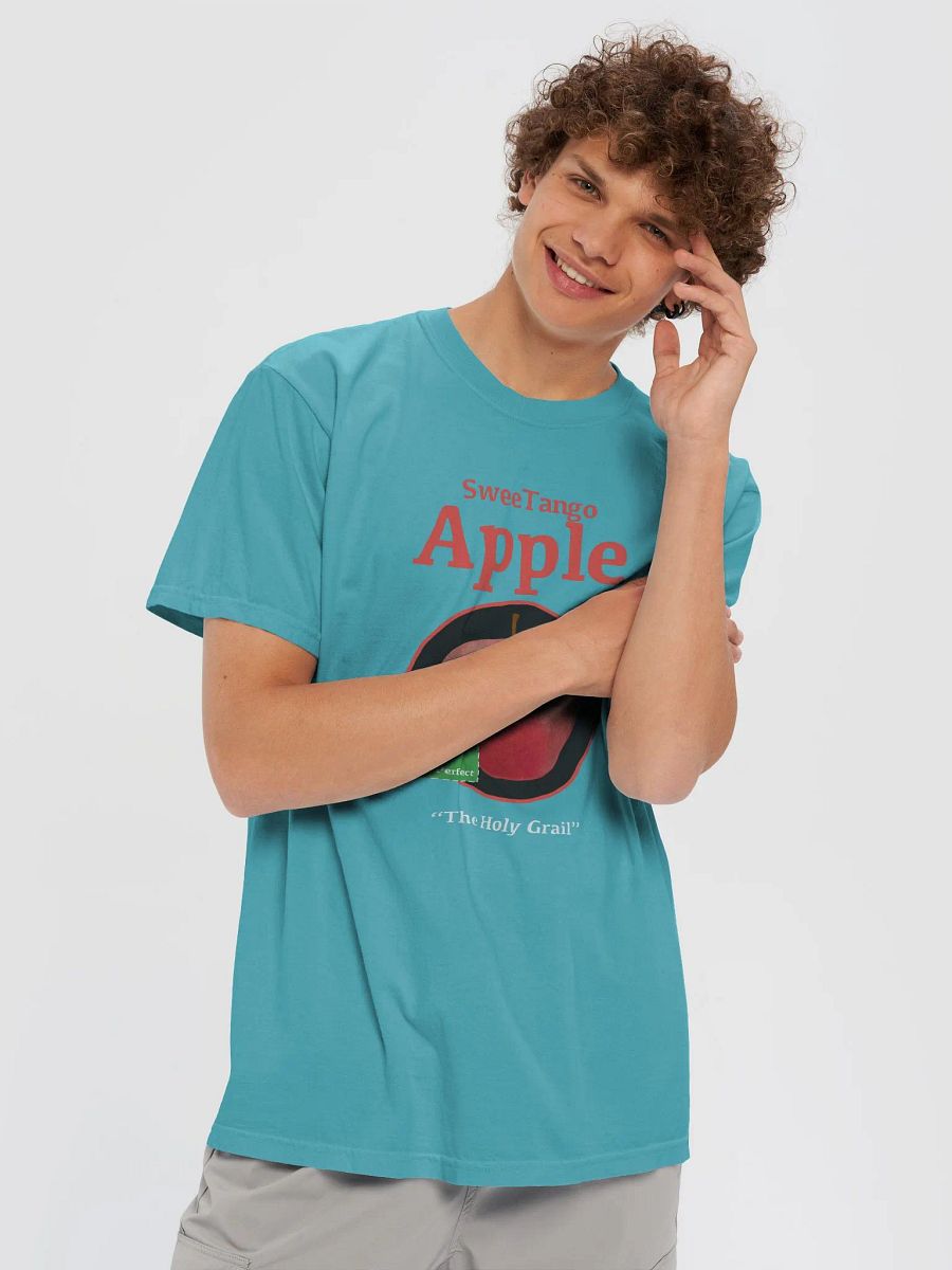 APPLE RANKINGS: SWEETANGO APPLE T-SHIRT (Regular Fit) product image (13)