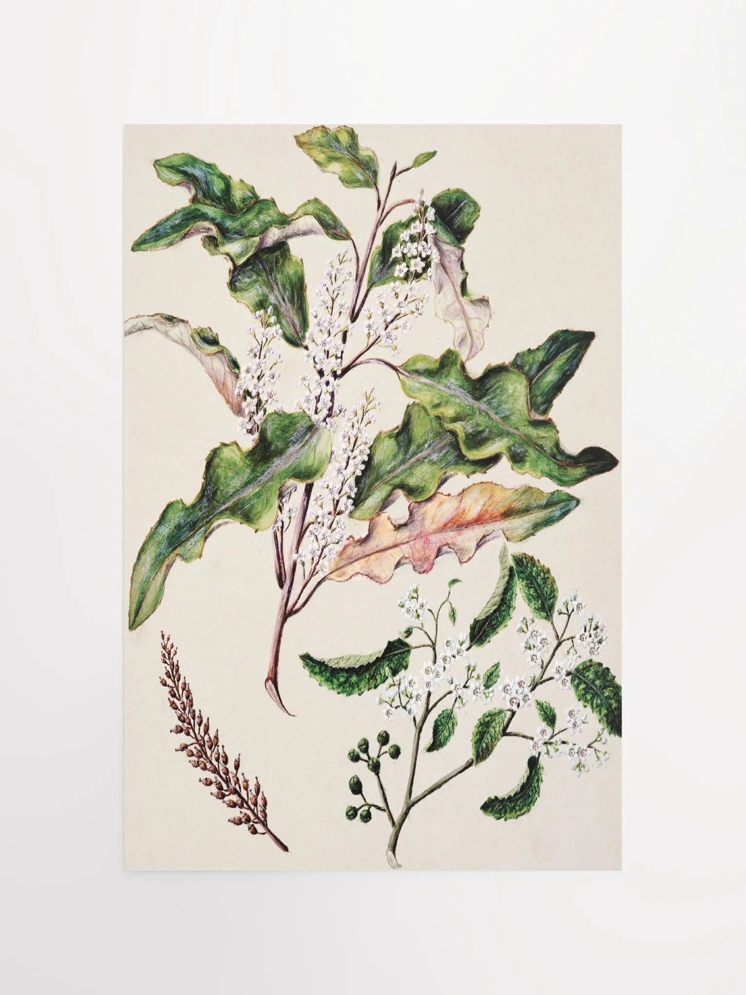 Flowers on Poster product image (10)