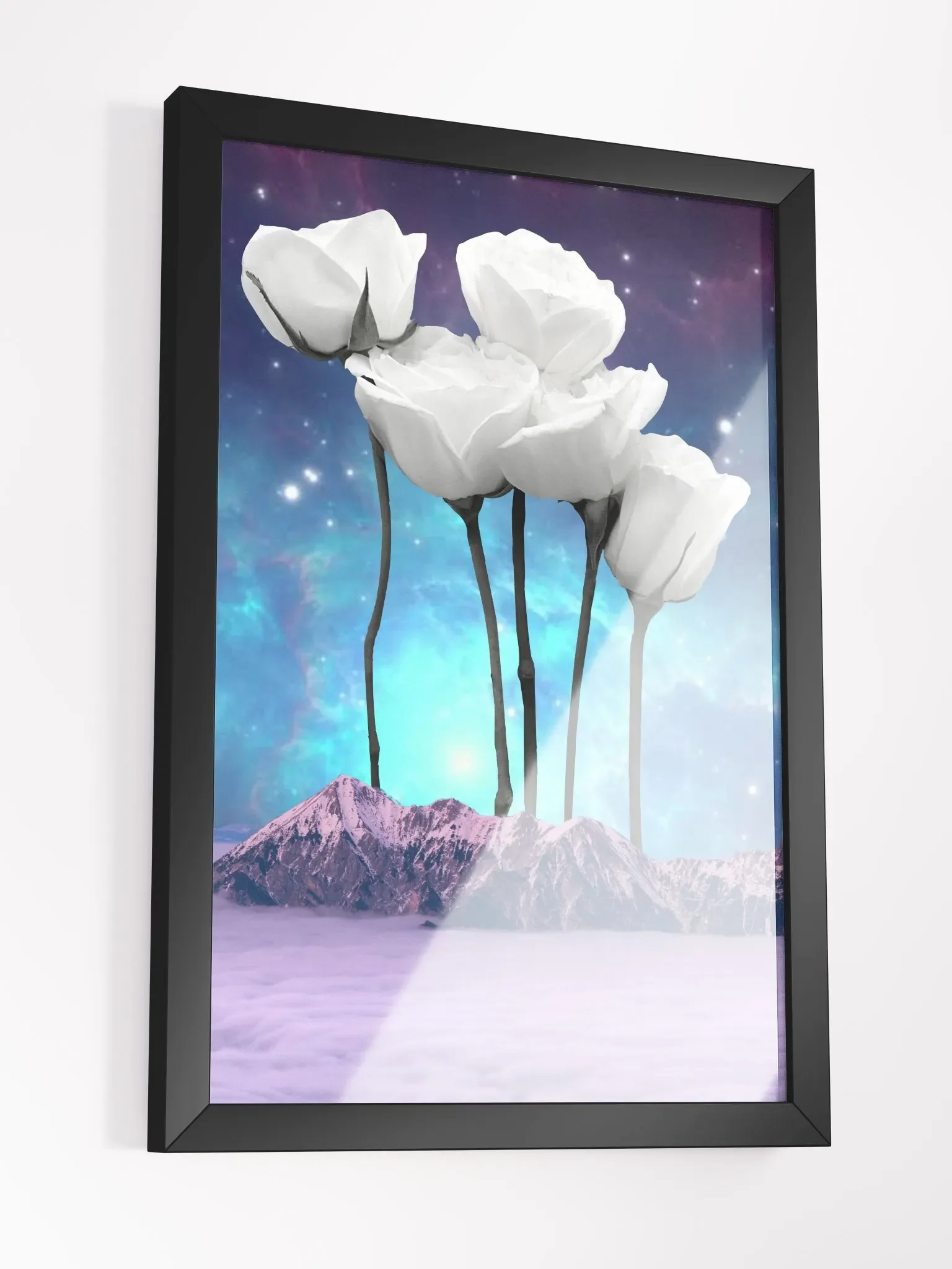 White roses calling and the mountains await product image (6)