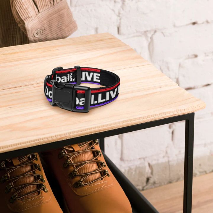 Dodgeball.LIVE Dog Collar product image (4)