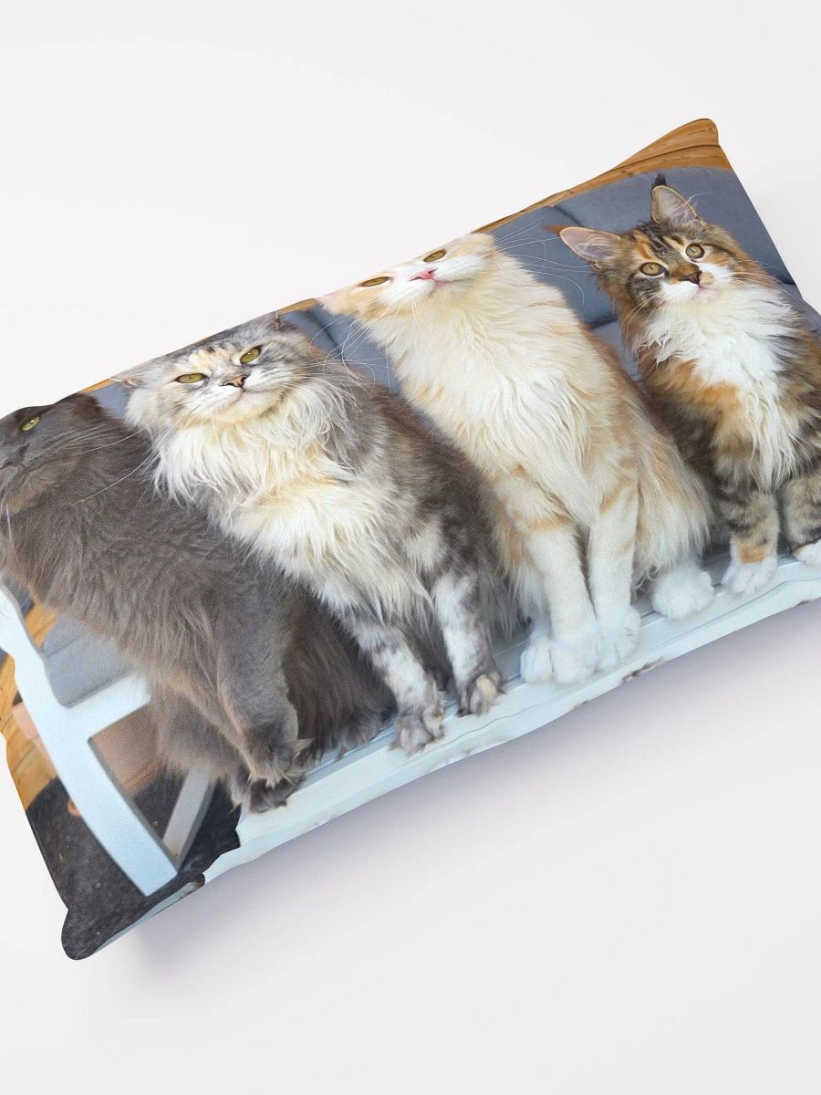 4 Generations - Pillow product image (5)
