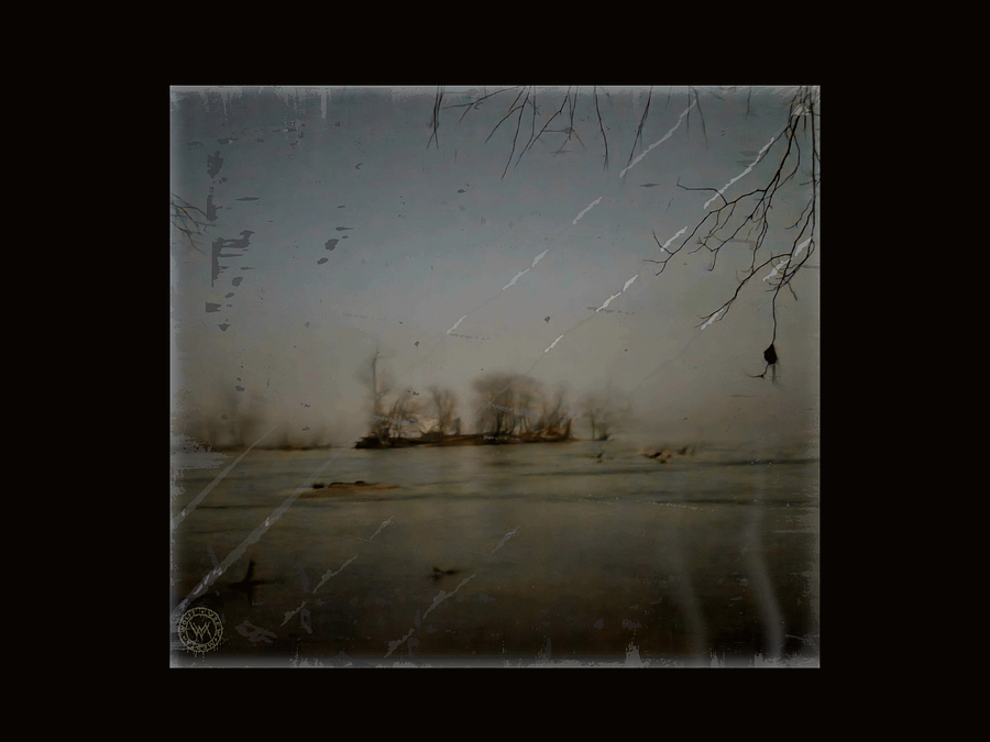 Fogscape I- Print product image (21)