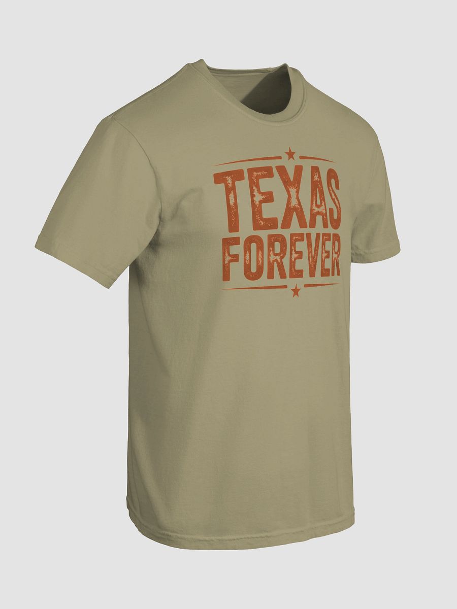 Texas Forever Distressed T-Shirt product image (91)