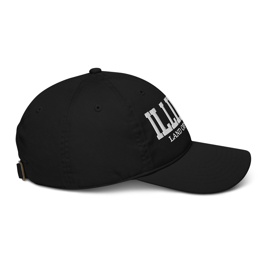 Illinois Land of Lincoln Organic Baseball Cap product image (8)