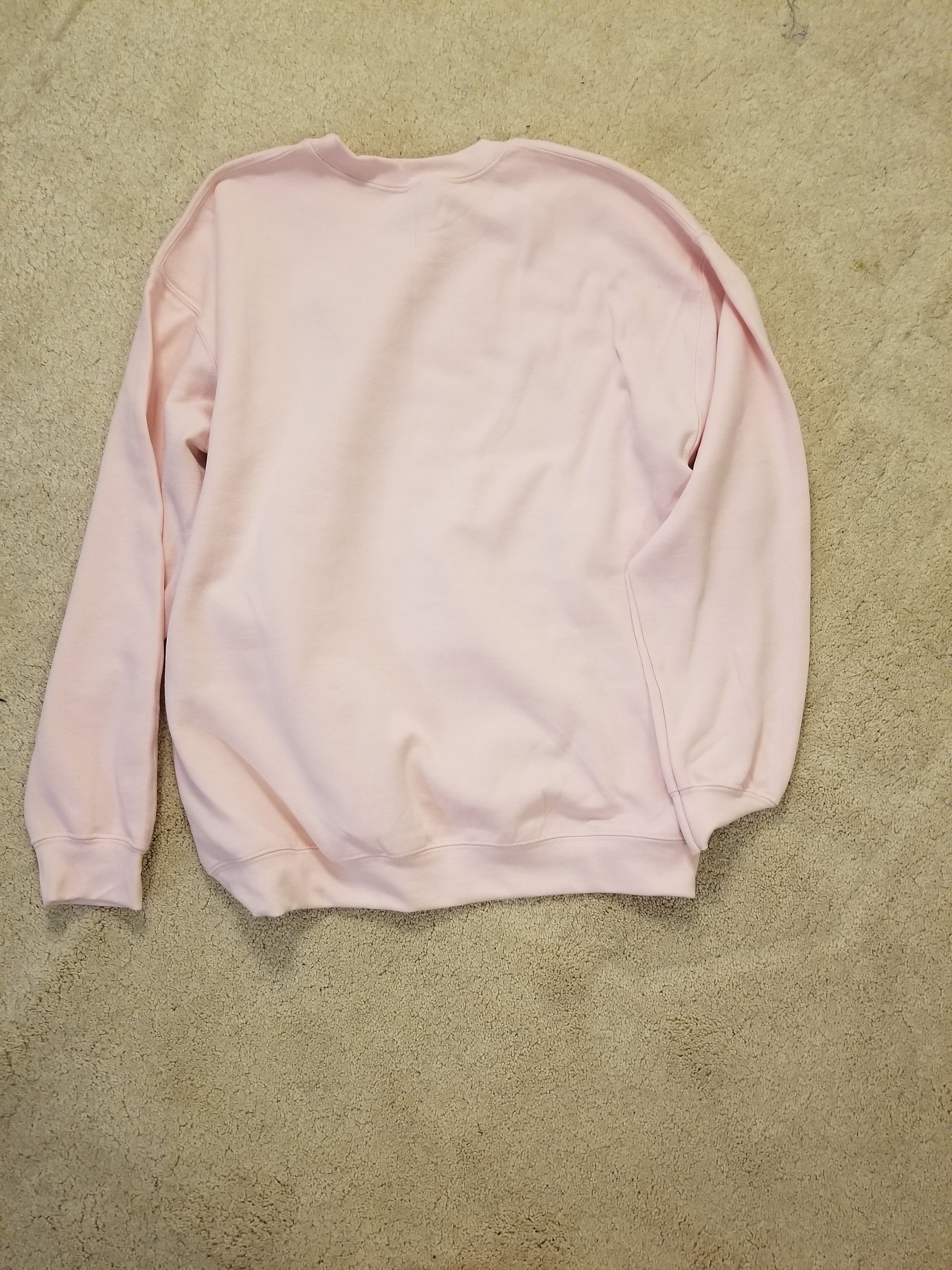 hippity hoppity the frog is on ur pockety (there is not a pocket on this sweatshirt) product image (6)
