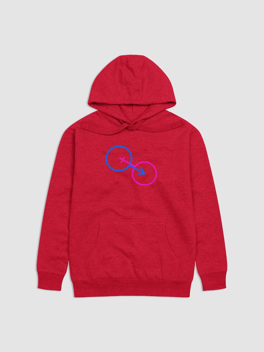 The Power of Traditional Gender Symbols Unisex Premium Hoodie product image (1)