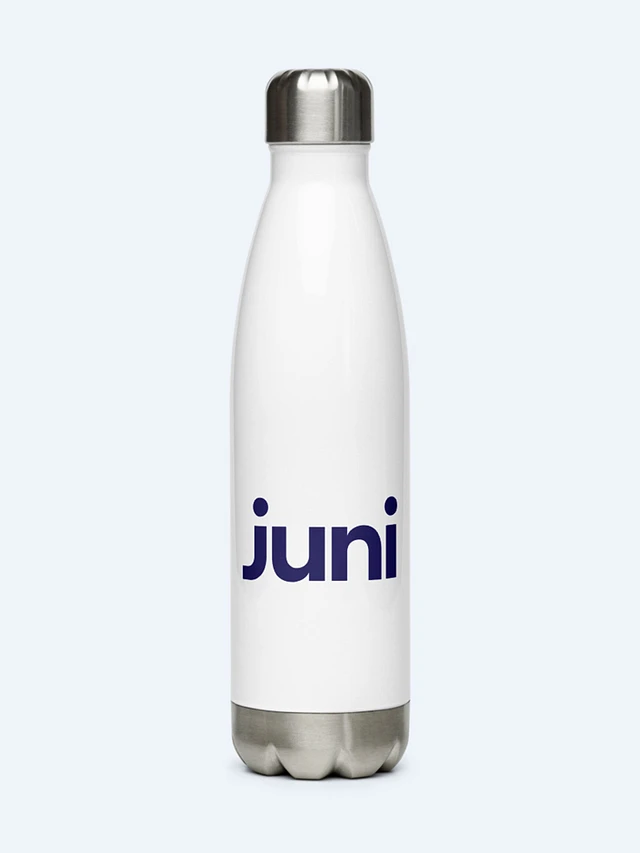 Juni Stainless Steel Water Bottle product image (1)