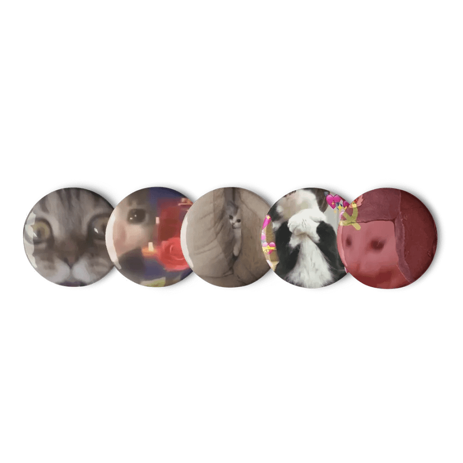 Set of Pin Buttons: Meme Cats 26 product image (1)