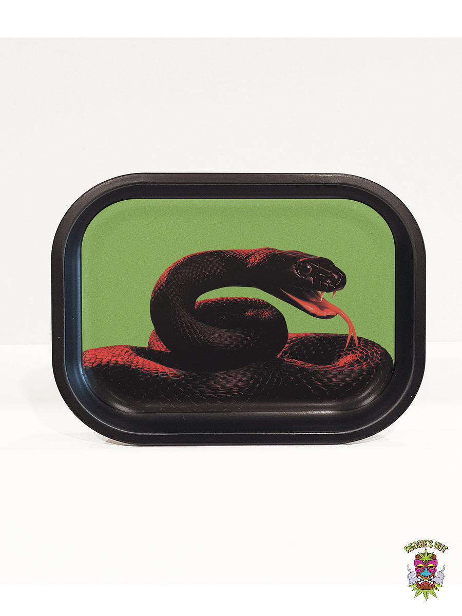 Tray - Ecdysis product image (1)