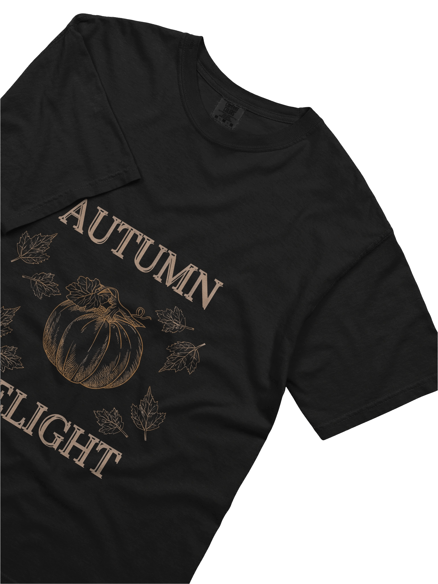 Autumn Delight Pumpkin Graphic Tee product image (20)