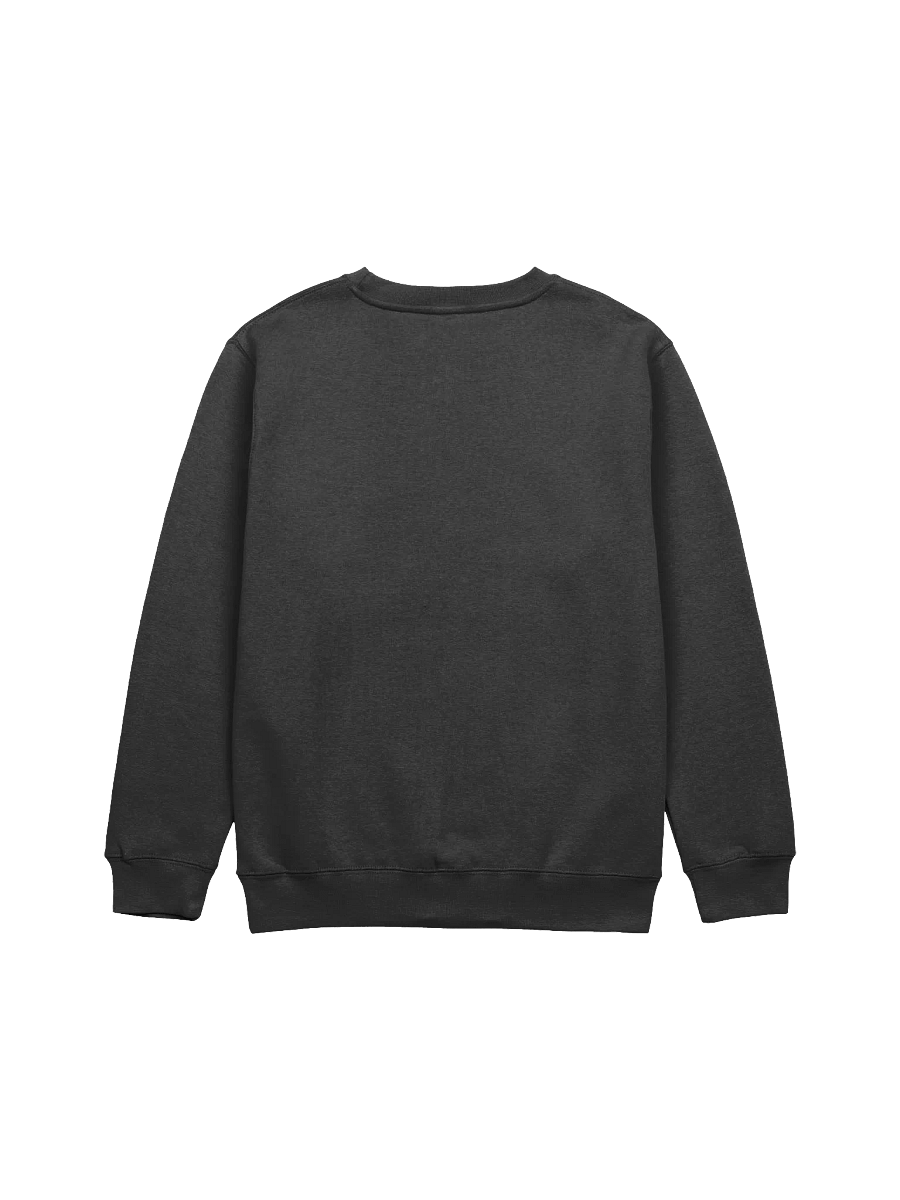UFO Sweatshirt "I Want To Believe" Multiple languages product image (4)