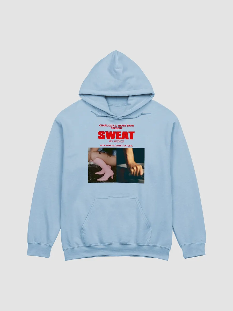 Troye sivan hoodie on sale