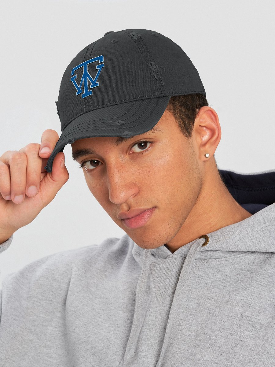 TW Logo Distressed Cap product image (4)