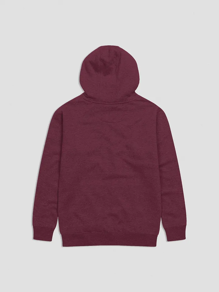 Atolanos Illustration Hoodie product image (21)