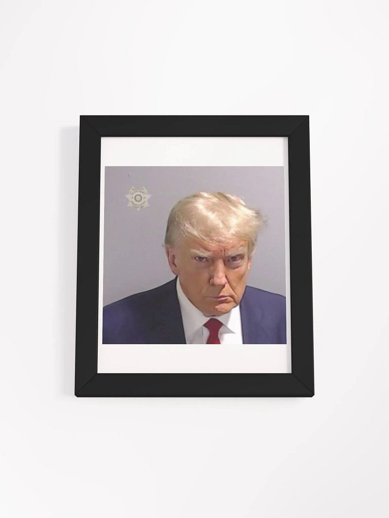 Framed FAFO Mugshot