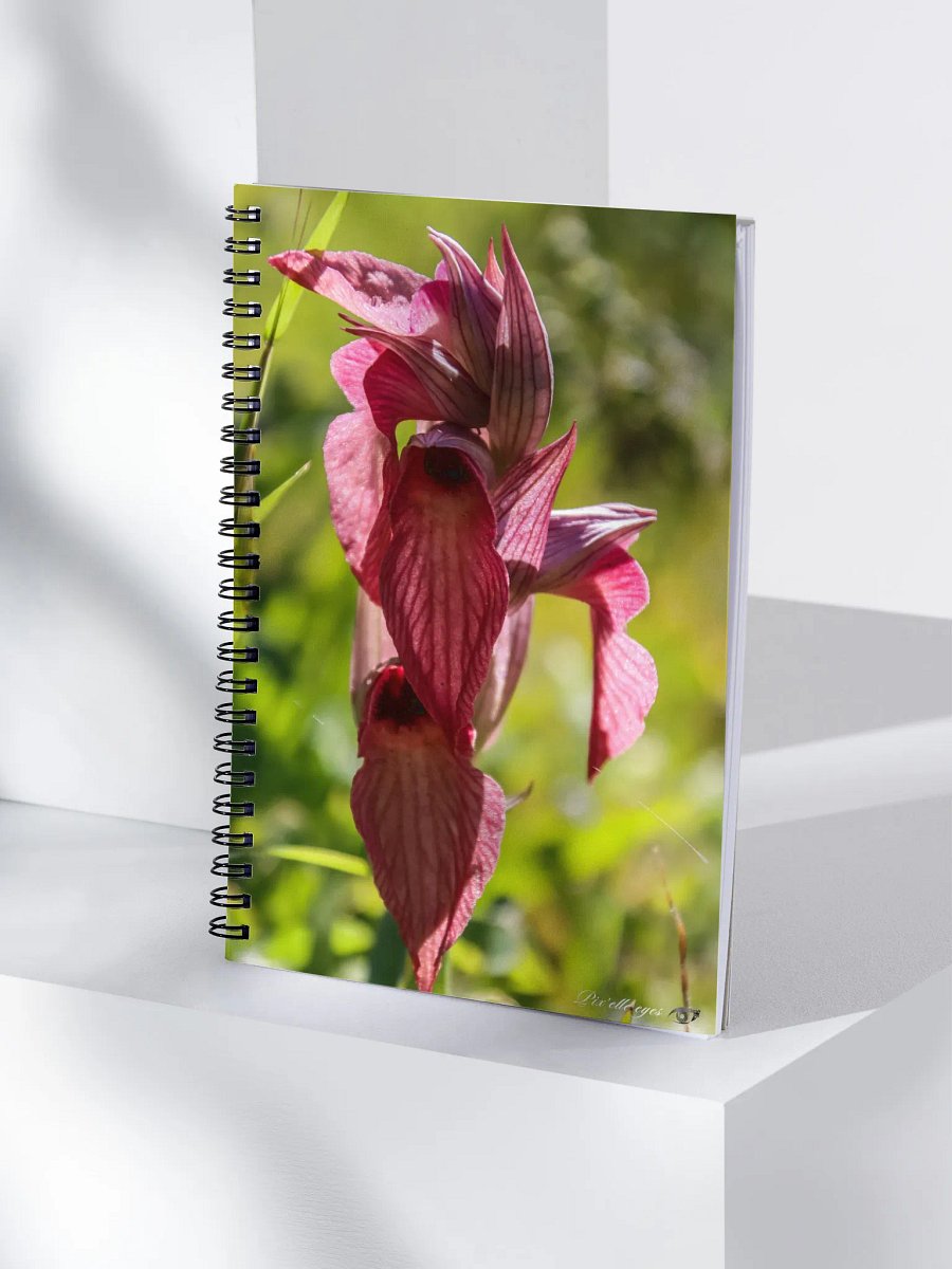 📓 Notebook Collection PURE – Orchidée sauvage – Jardin du Rayol product image (4)