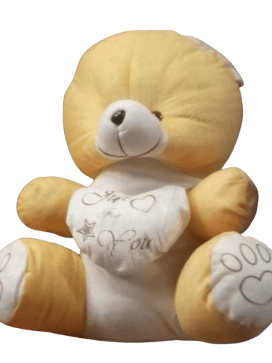 TEDDY BEAR product image (1)