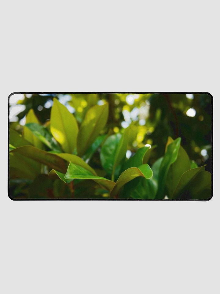 Desk Mat L5 - Southern Louisiana Series product image (1)