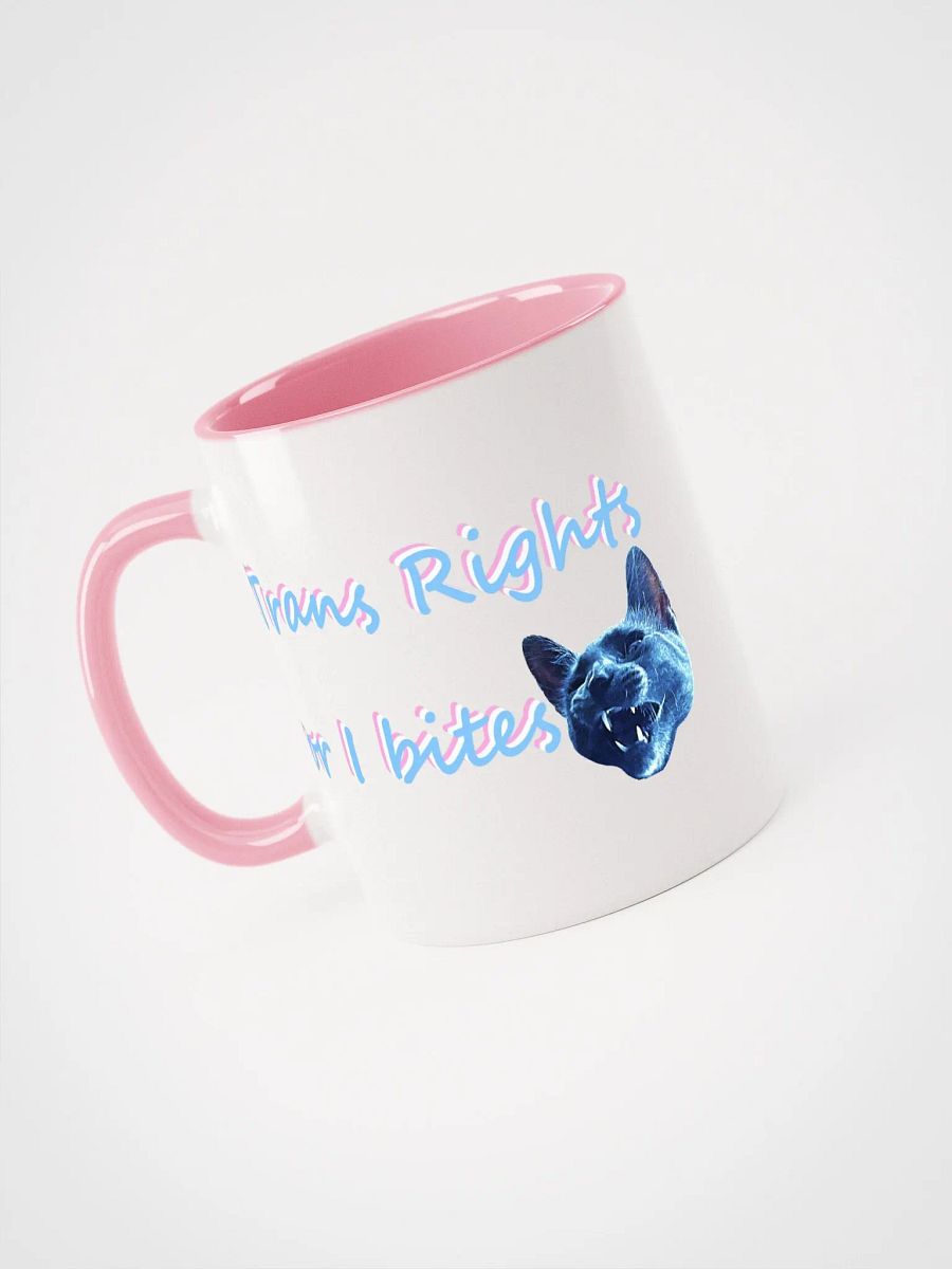 TROIB mug product image (14)