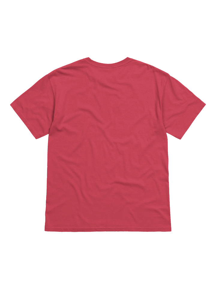 The many flavors of Hasidic Williamsburg T-shirt product image (72)