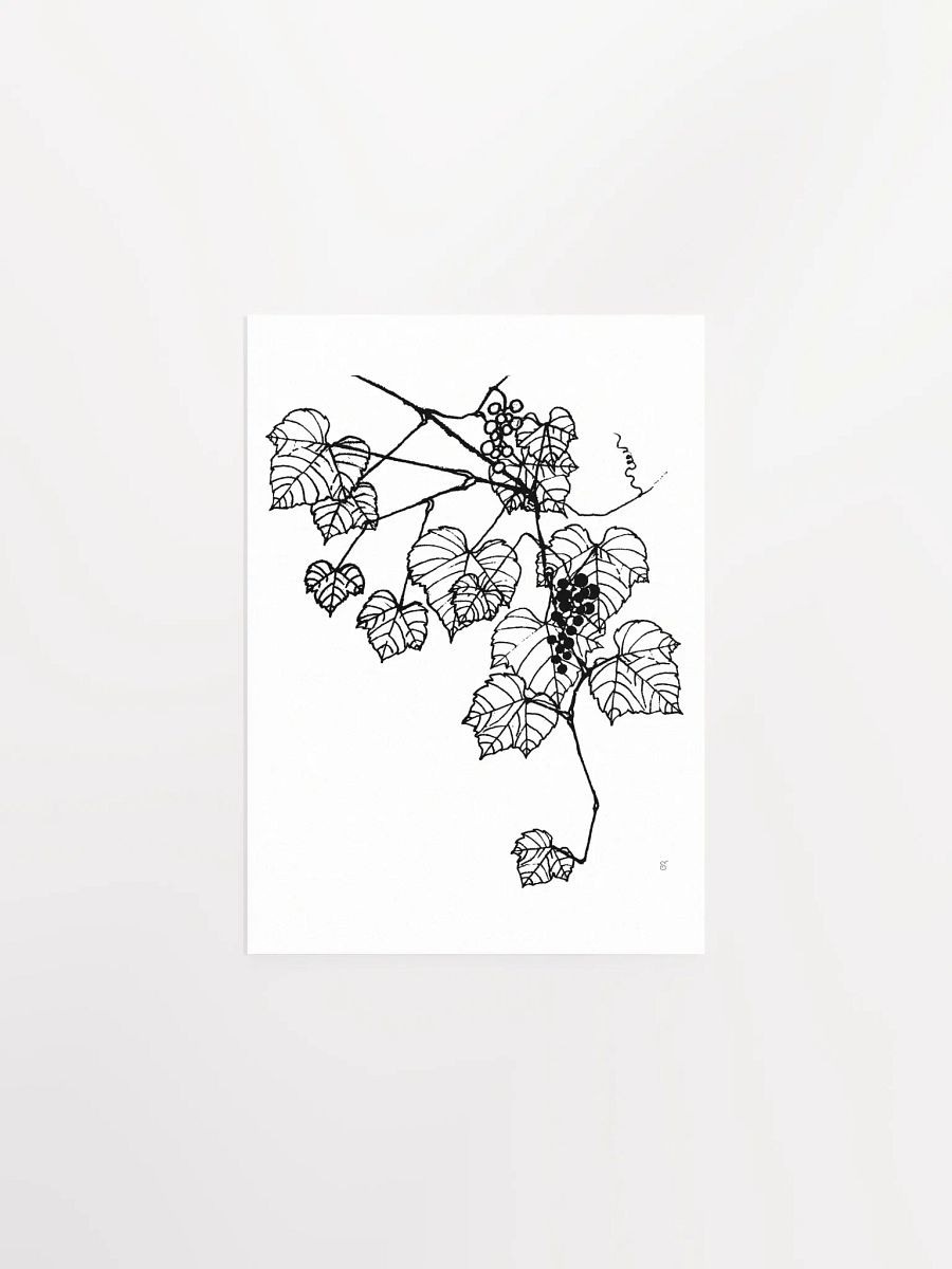 Vibrant Vineyard: Premium Matte Paper Poster - Grape Leaves Stylish product image (1)