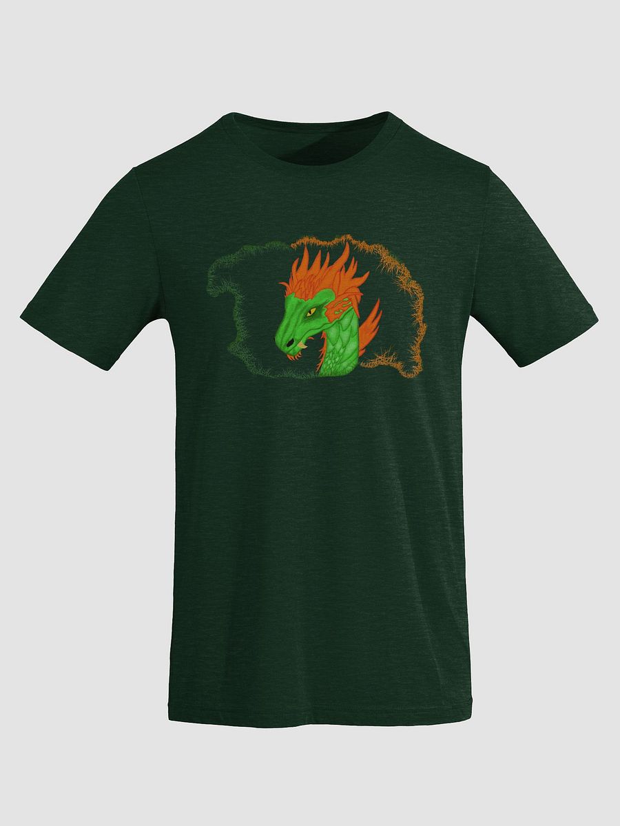 Dragon's Blaze Tri-Blend Tee product image (3)
